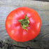 Siberian Tomato