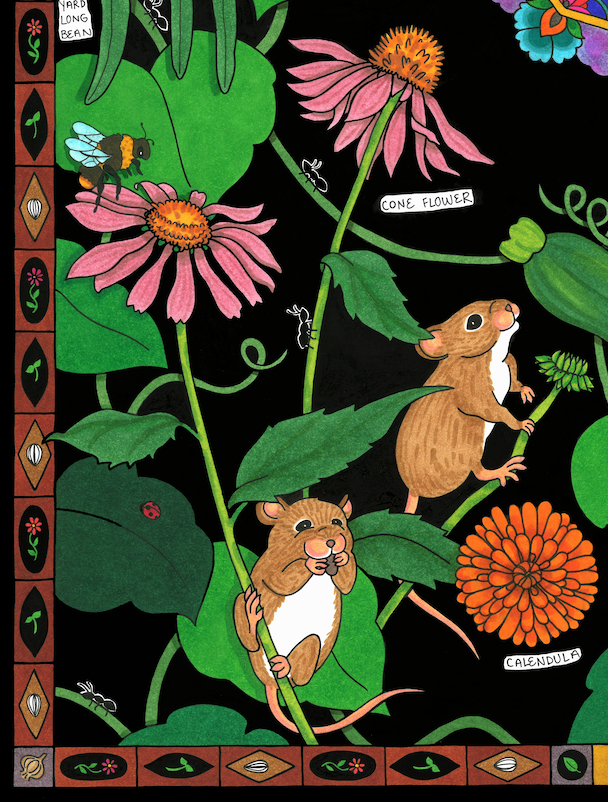 2025 Seed Poster – North Circle Seeds