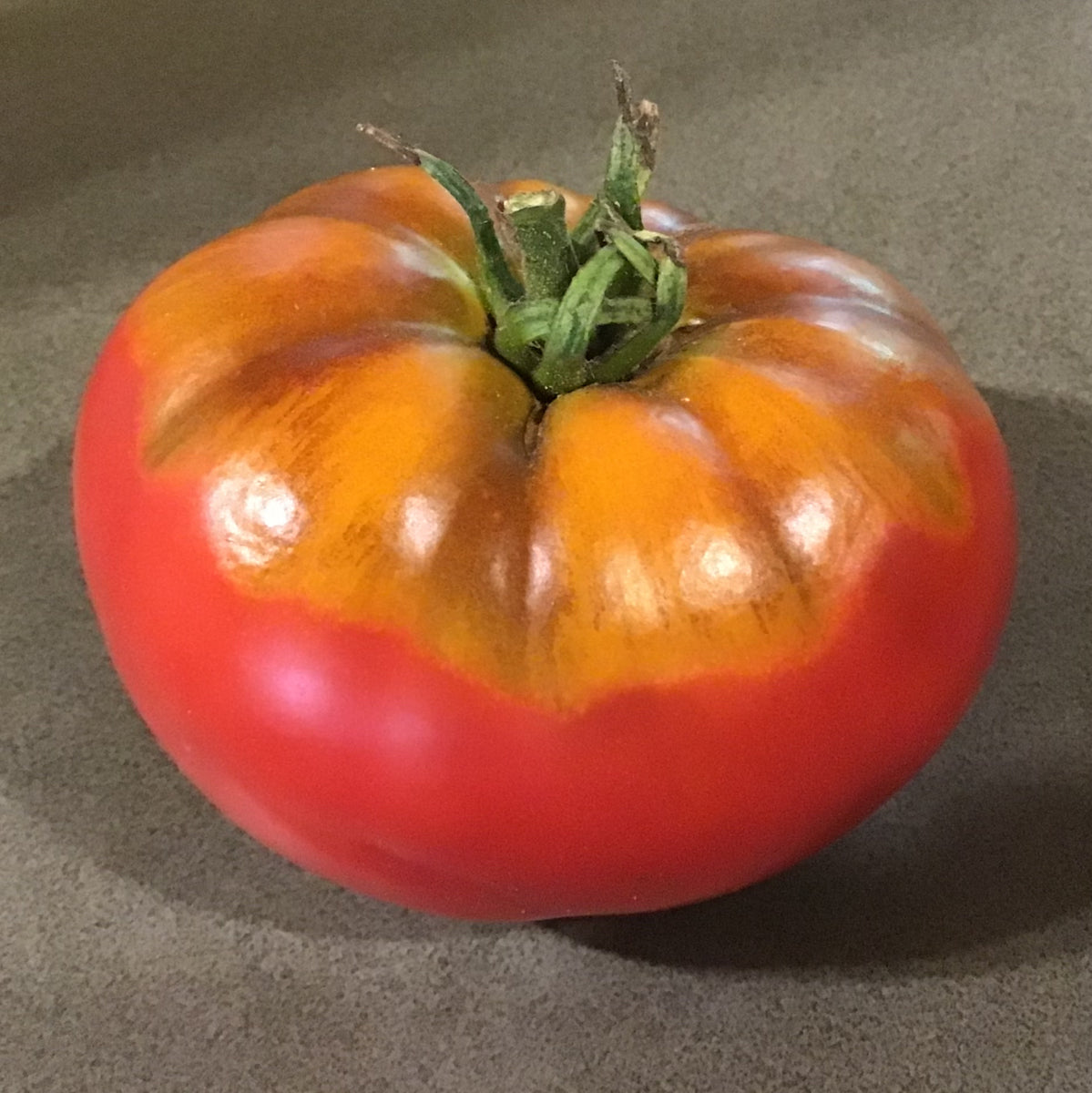 Bison – North Circle Seeds