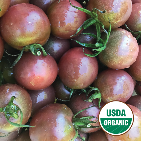 Black Cherry Tomato