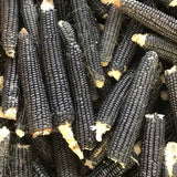 Blue Corn Blend