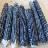 Blue Corn Blend