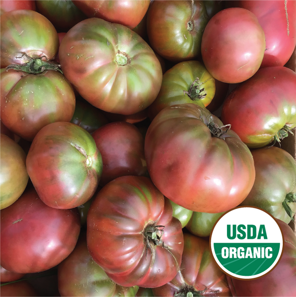 Borealis Beefsteak
