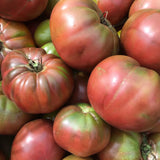 Borealis Beefsteak