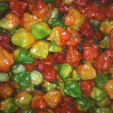 Aji Dulce