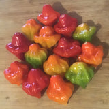 Aji Dulce