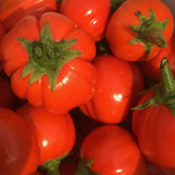 Red African Eggplant