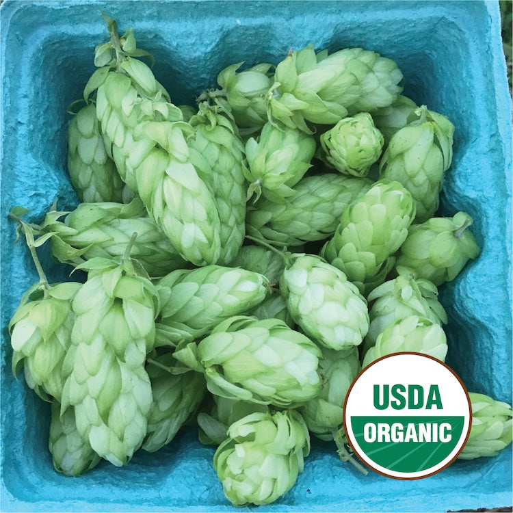 Hops – North Circle Seeds