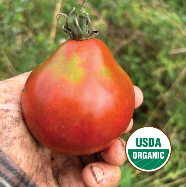 Japanese Black Trifele