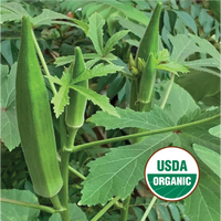 2026 Seeds – North Circle Seeds