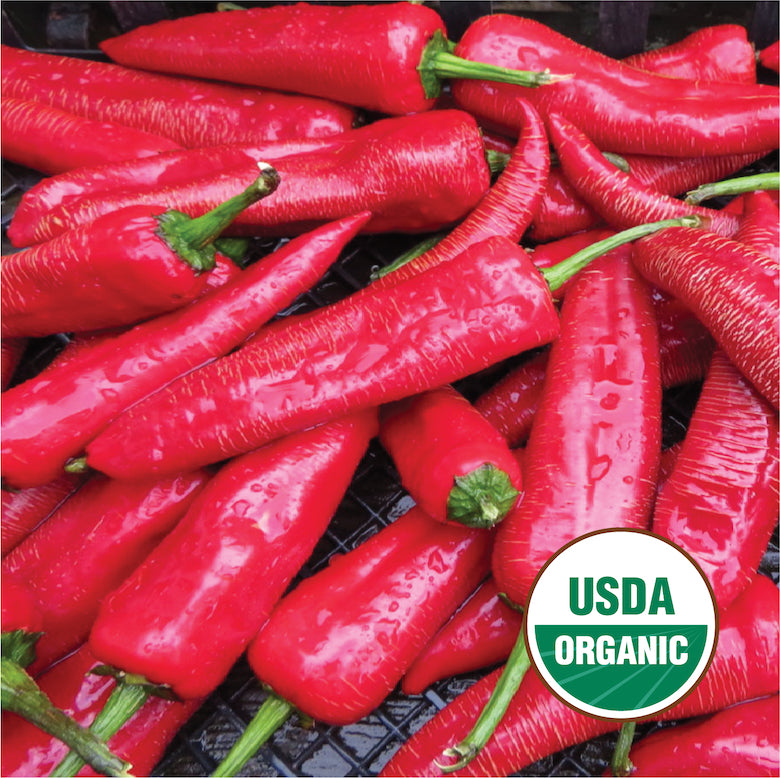 paprika plant seeds Boldog Hungarian Paprika
