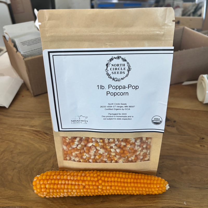 PopcornFood_800x.jpg?v=1740936714