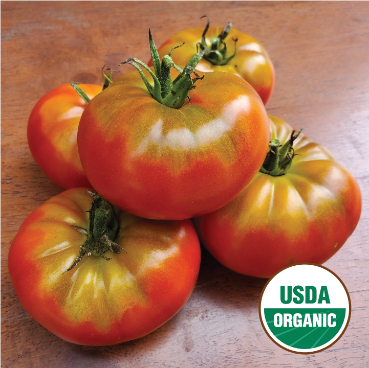 Bison – North Circle Seeds