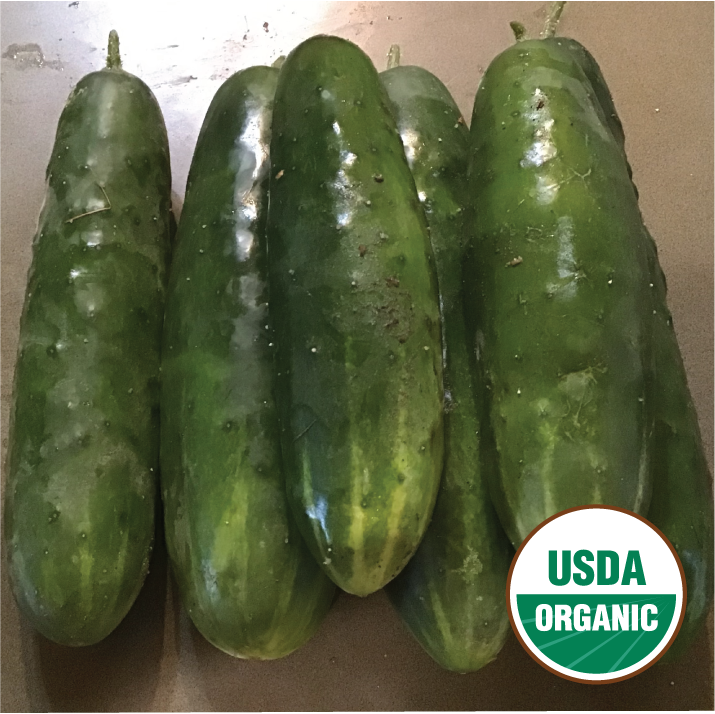 CucumberOrg_800x.png?v=1607631124