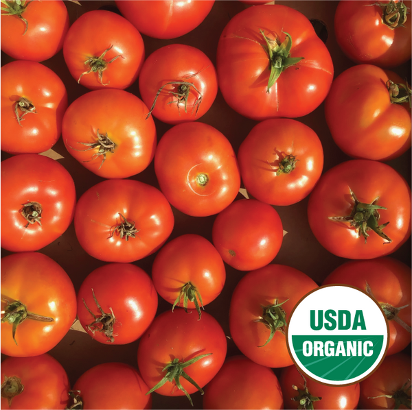 Wisconsin Seeds Wisconsin 55 – North Circle Seeds